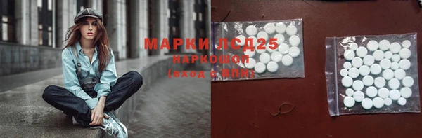 ГАЛЛЮЦИНОГЕННЫЕ ГРИБЫ Верхний Тагил