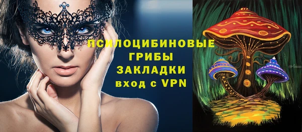 ГАЛЛЮЦИНОГЕННЫЕ ГРИБЫ Верхний Тагил