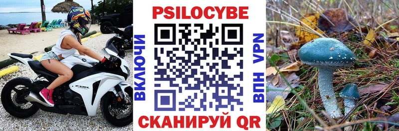 Псилоцибиновые грибы мухоморы  mega зеркало  Губкин 